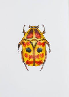 Reddish Yellow Beetle. 2021. Paper, mixed media. 21x30 cm.