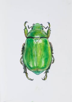Big Green Beetle. 2021. Paper, mixed media. 21x30 cm.