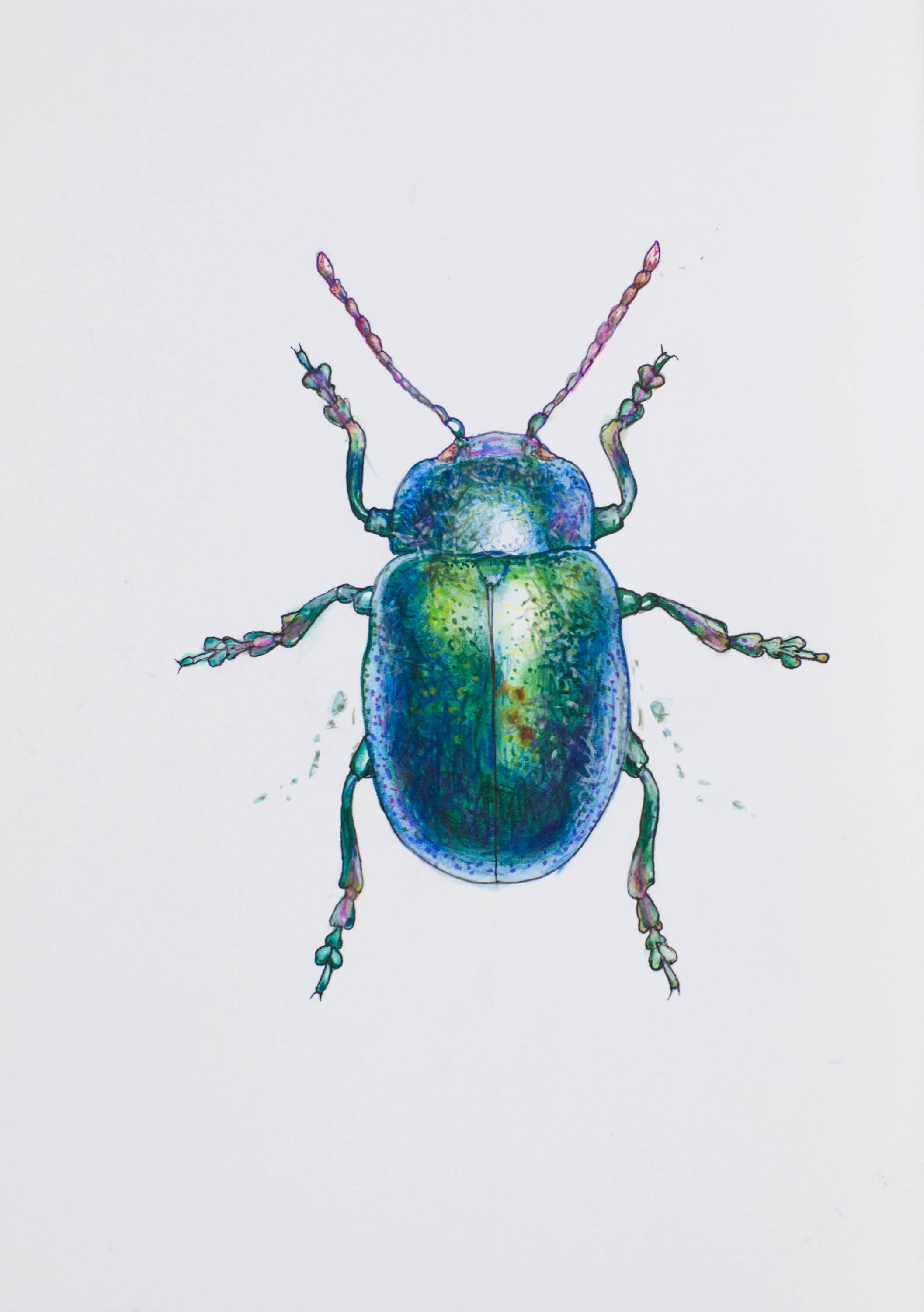 Blue Wonder Beetle. 2021. Paper, mixed media. 21x30 cm.