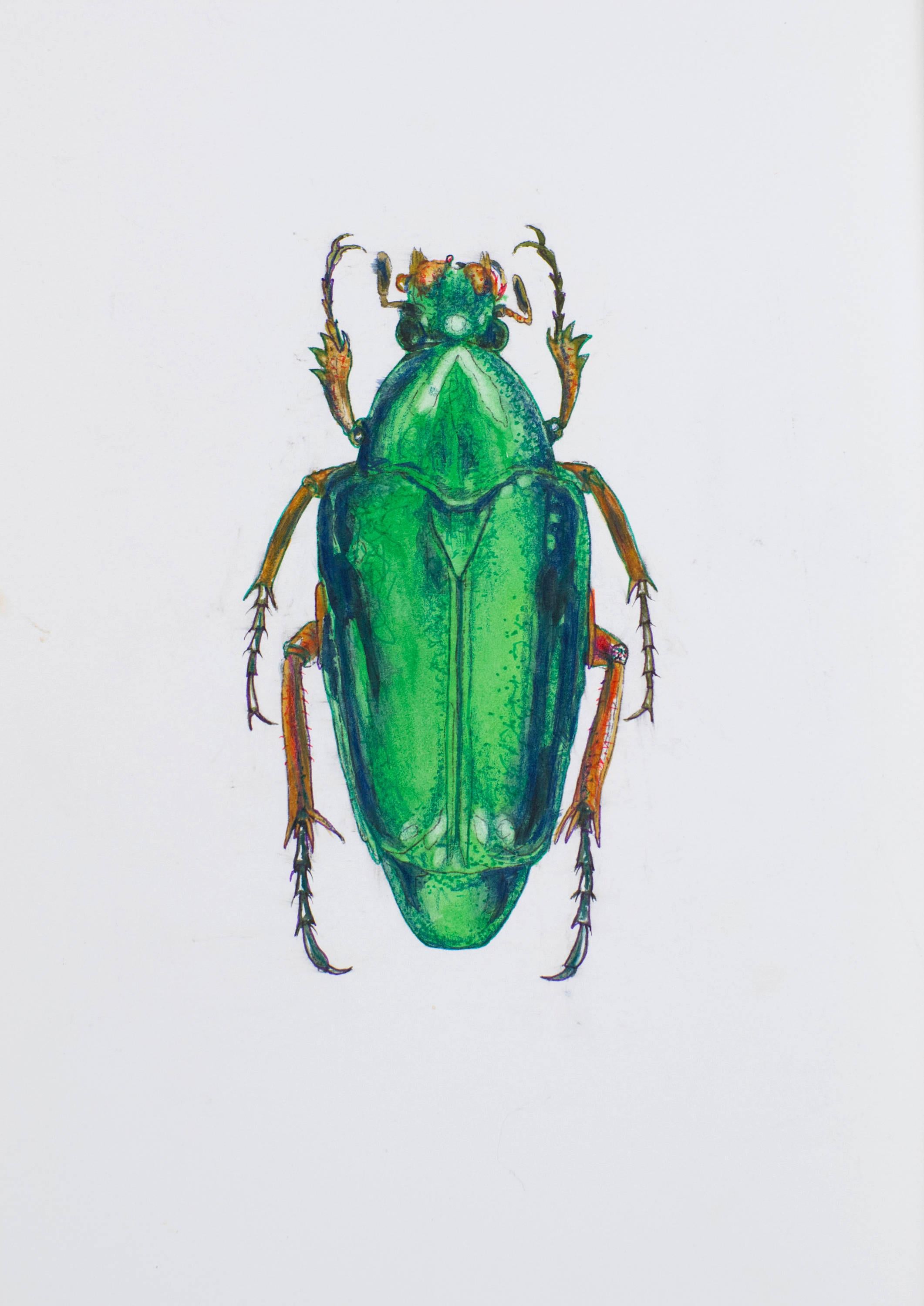 Royal Green Beetle. 2021. Paper, mixed media. 21x30 cm.