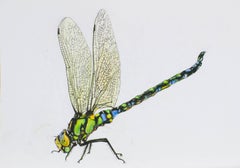 Bright Dragonfly. 2021. Paper, mixed media. 21x30 cm.