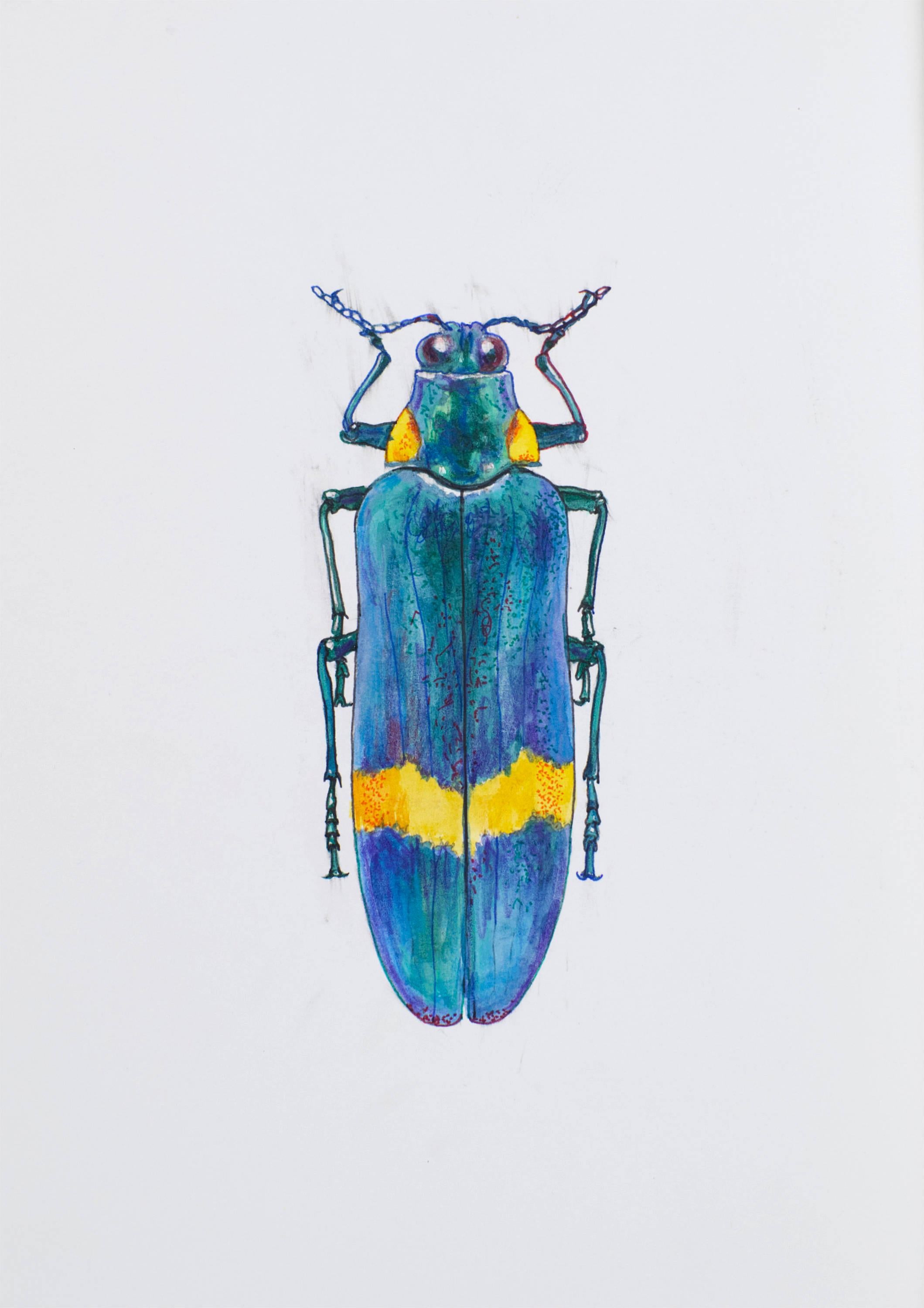 Precious Turquoise Beetle. 2021. Paper, mixed media. 21x30 cm.