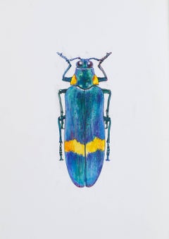 Precious Turquoise Beetle. 2021. Paper, mixed media. 21x30 cm.