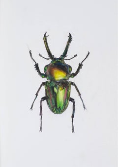 Green Claw Beetle. 2021. Paper, mixed media. 21x30 cm.