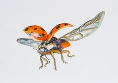 Ladybug in low flight. 2021. Paper, mixed media. 21x30 cm.