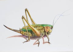 Grasshopper II. 2021. Carta, tecnica mista. 21x30 cm.