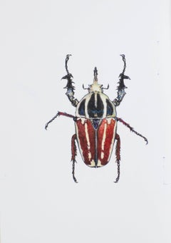 White-red beetle. 2021. Paper, mixed media. 21x30 cm.