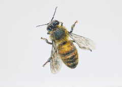 Bee at rest. 2021. Paper, mixed media. 21x30 cm.
