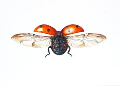 Ladybug in flight II. 2021. Paper, mixed media. 21x30 cm.