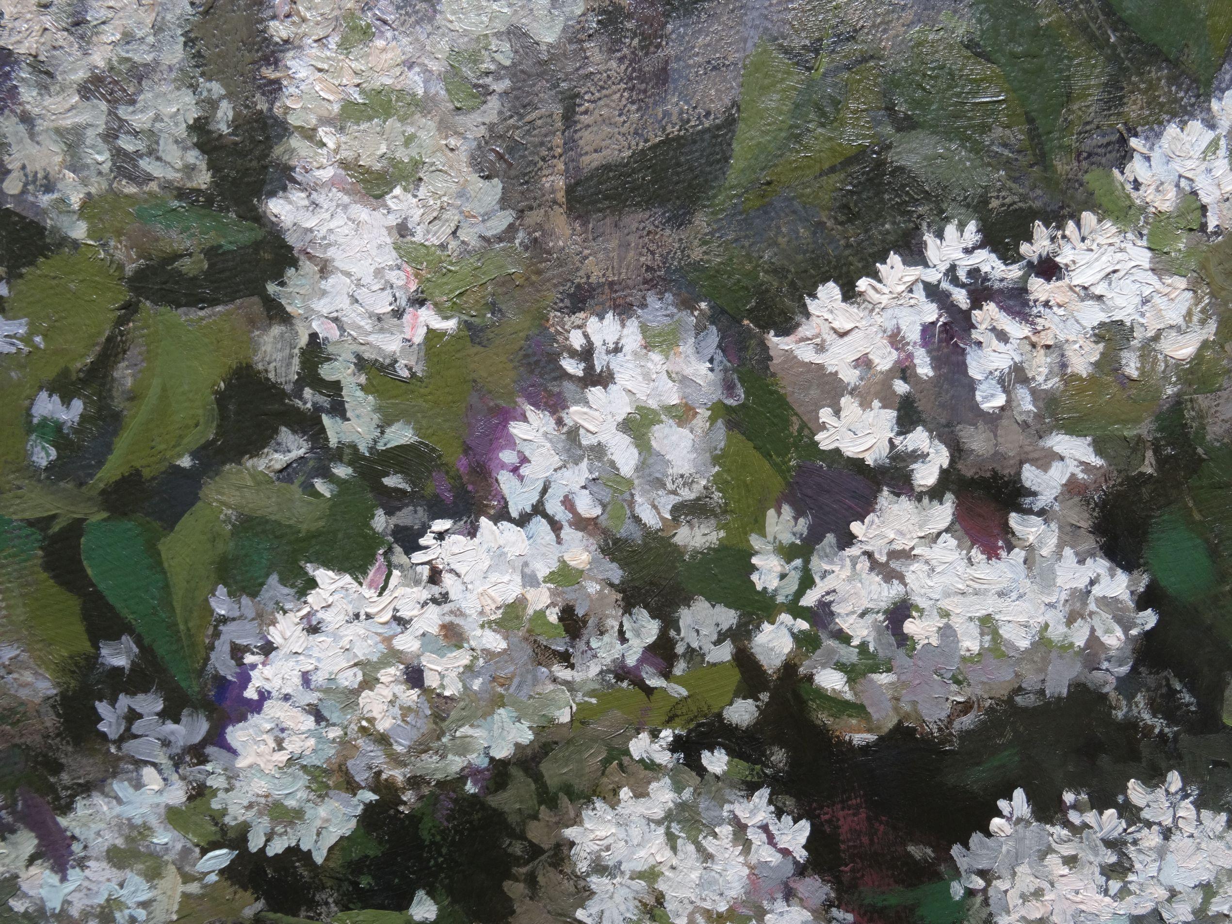 white lilac paint