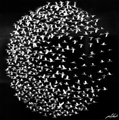 "Moon"; 3D Mixed Medium Metal Wall Sculpture