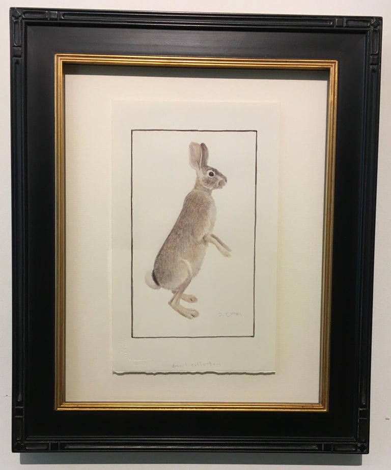 Sheridan Oman 'Desert Cottontail,' by Sheridan Oman, Colored Pencil on Paper Drawing For Sale
