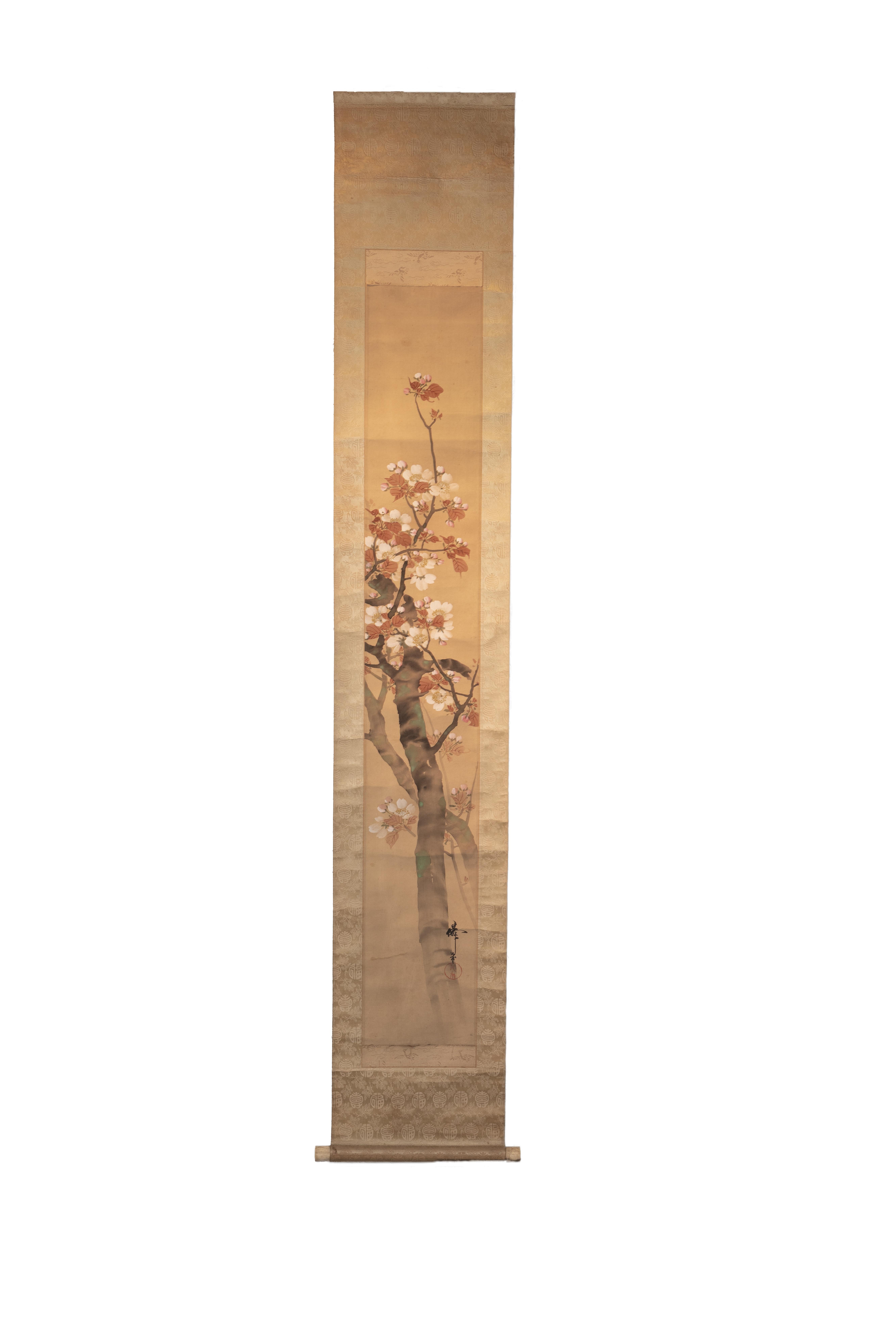 This Antique Japanese Scroll is a depiction of a dogwood tree. Painted in a traditional Japanese style with watercolor, the brush strokes are somewhat opaque and loosely applied. The trunk of the dogwood tree emerges from the bottom, right hand