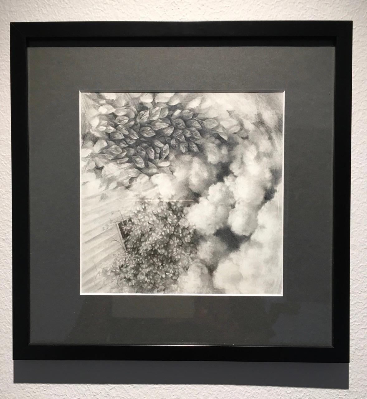 'Untitled', By Haley Prestifilippo, Graphite Drawing on Paper