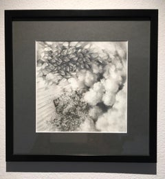 'Untitled', By Haley Prestifilippo, Graphite Drawing on Paper
