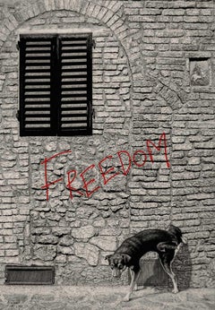 Libertad", de Bojan Grof, Dibujo en grafito, carboncillo y lápiz al óleo sobre papel