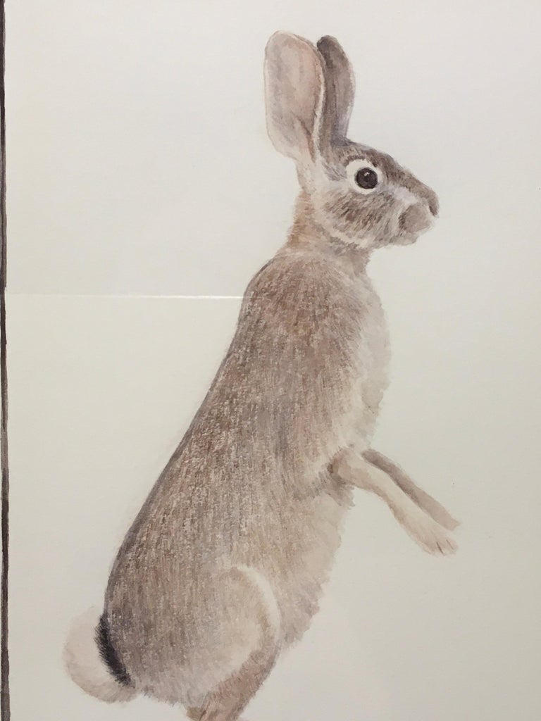 Sheridan Oman 'Desert Cottontail,' by Sheridan Oman, Colored Pencil on Paper Drawing For Sale