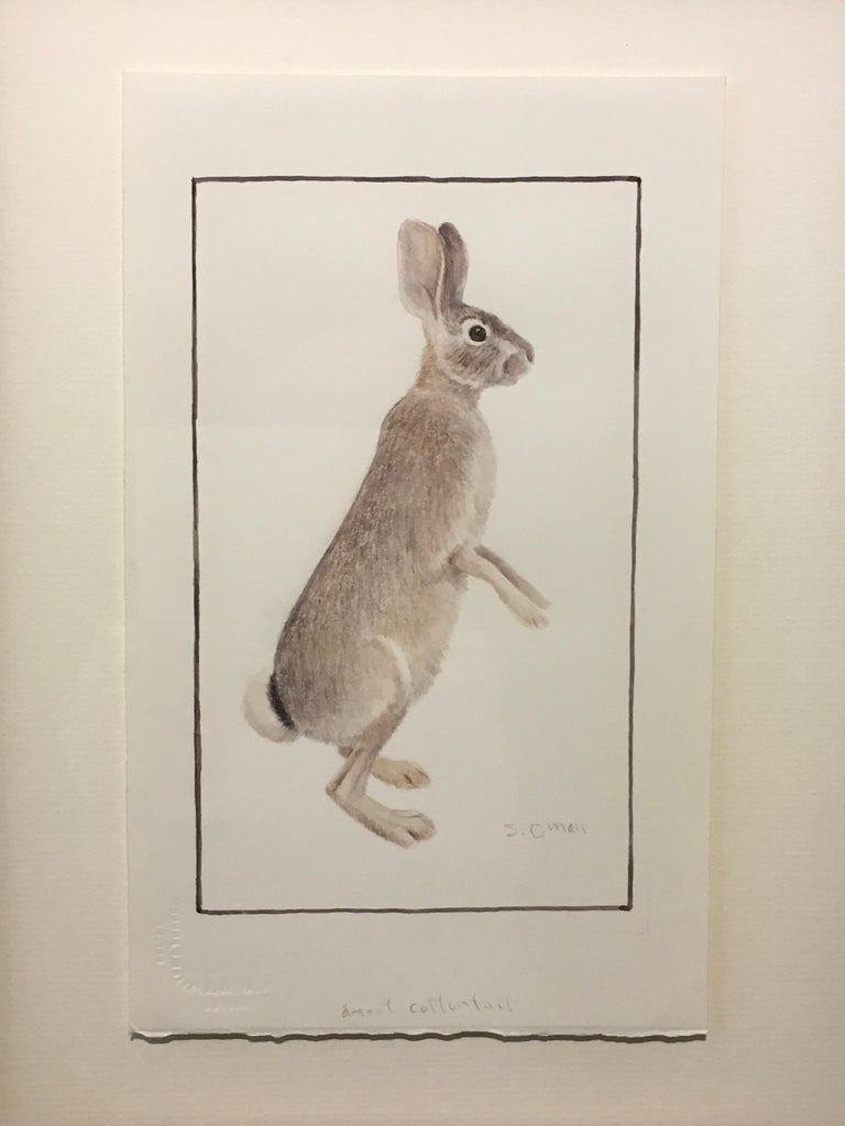 Sheridan Oman 'Desert Cottontail,' by Sheridan Oman, Colored Pencil on Paper Drawing For Sale