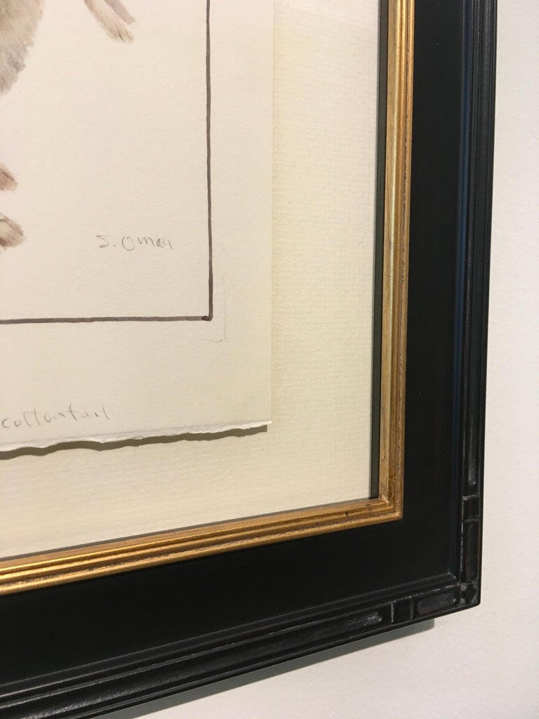 Sheridan Oman 'Desert Cottontail,' by Sheridan Oman, Colored Pencil on Paper Drawing For Sale