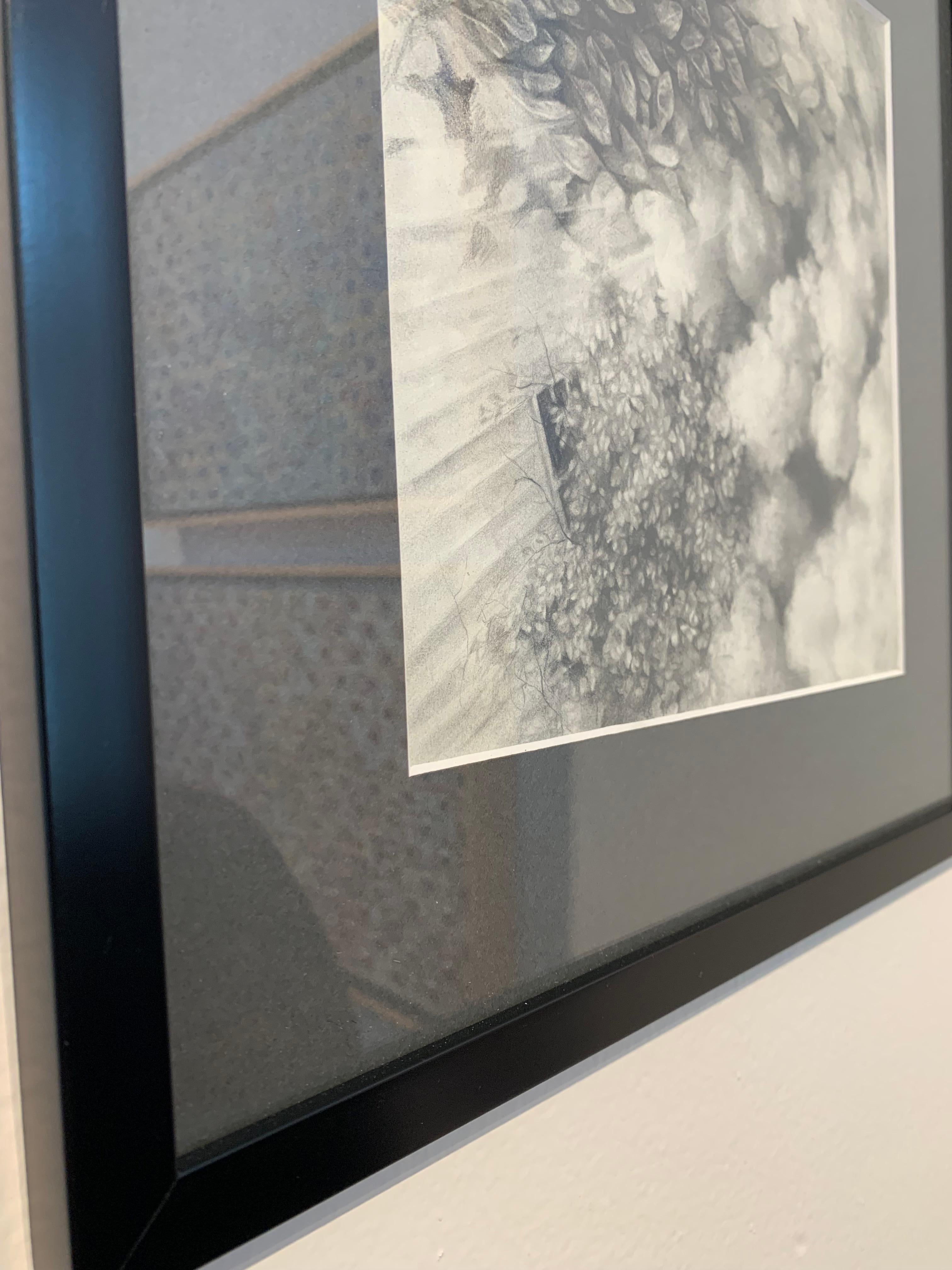 „Ohne Titel“, von Haley Prestifilippo, Graphitzeichnung auf Papier im Angebot 2