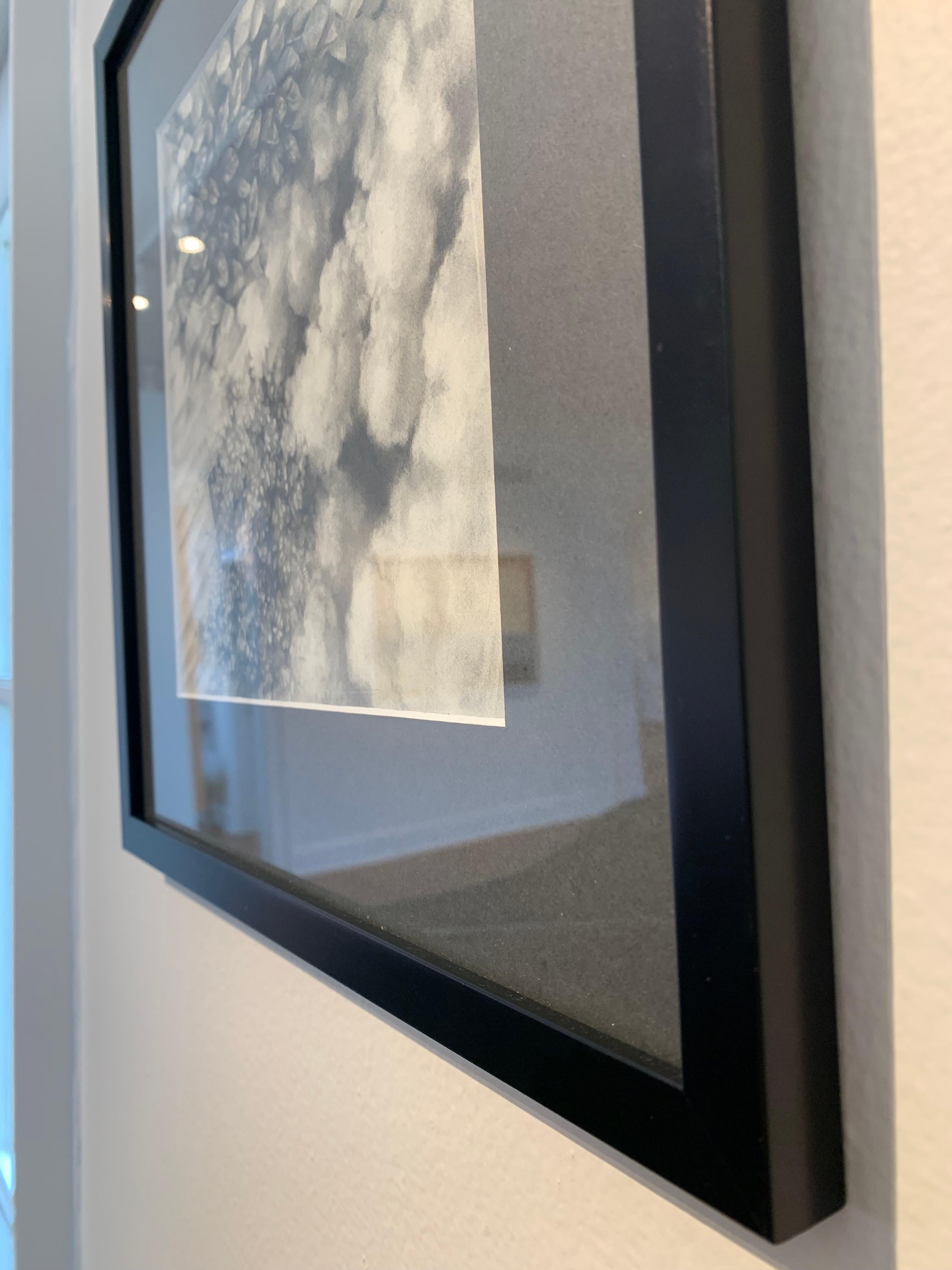 „Ohne Titel“, von Haley Prestifilippo, Graphitzeichnung auf Papier im Angebot 4
