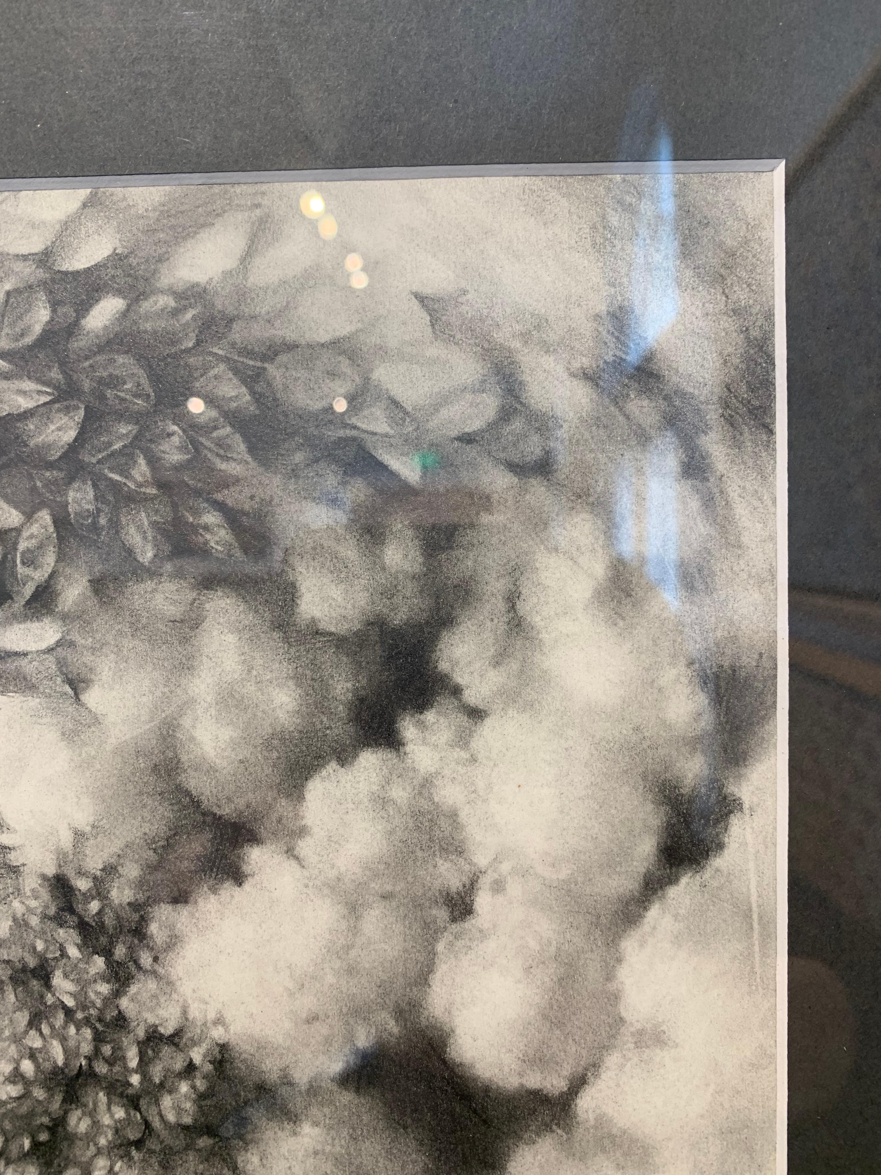 „Ohne Titel“, von Haley Prestifilippo, Graphitzeichnung auf Papier im Angebot 6