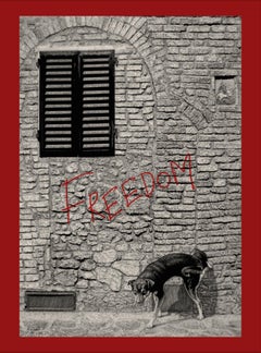 'Freedom' by Bojan Grof; Graphite, Charcoal and Oil Pencil on Paper, 2022