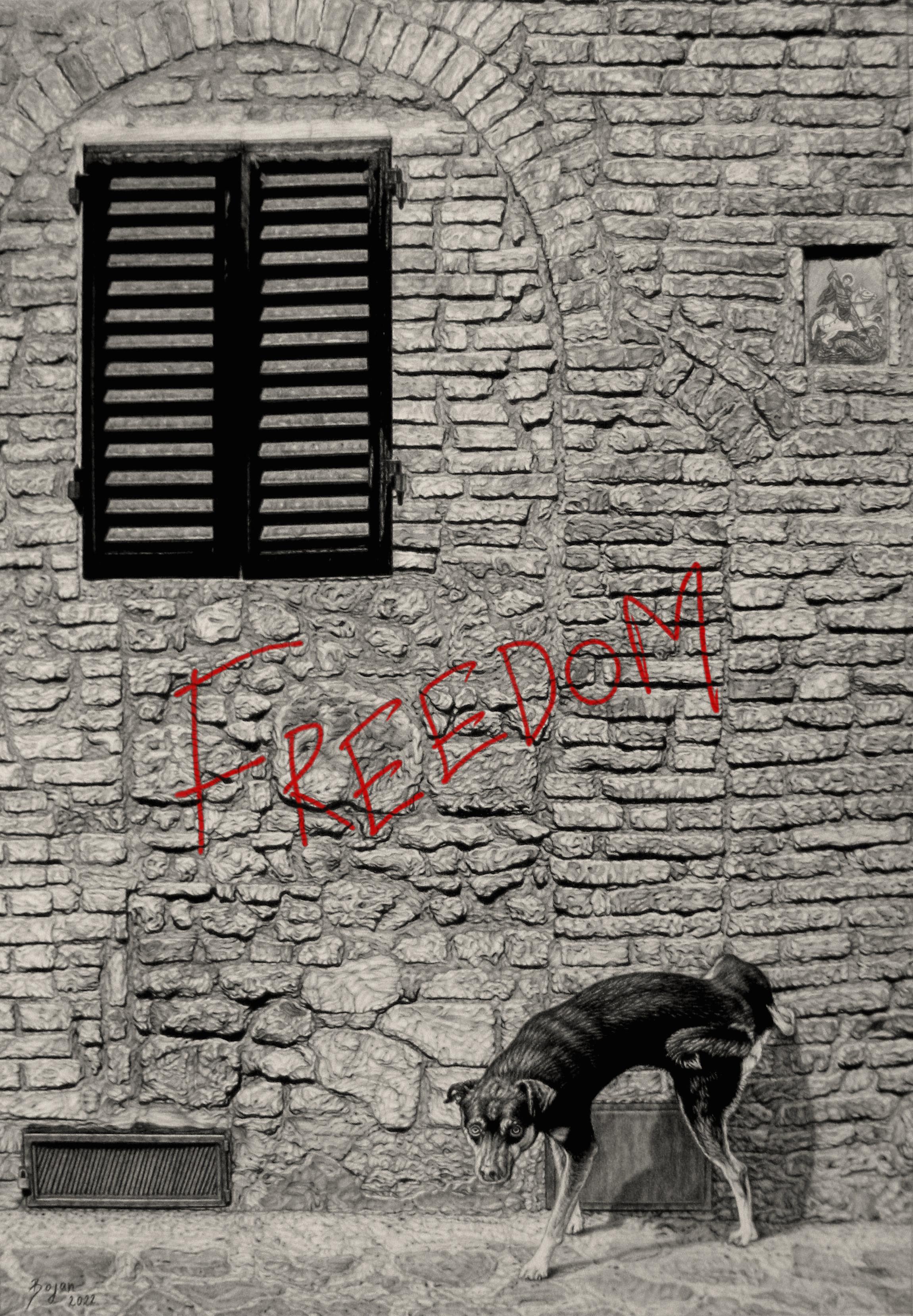 Este dibujo monocromático de grafito, lápiz al óleo y carboncillo de 27" x 19" del artista serbio Bojan Grof representa a un perro con una pata levantada, orinando en un muro de piedra con un grafiti de "LIBERTAD" escrito sobre él. La palabra se ha