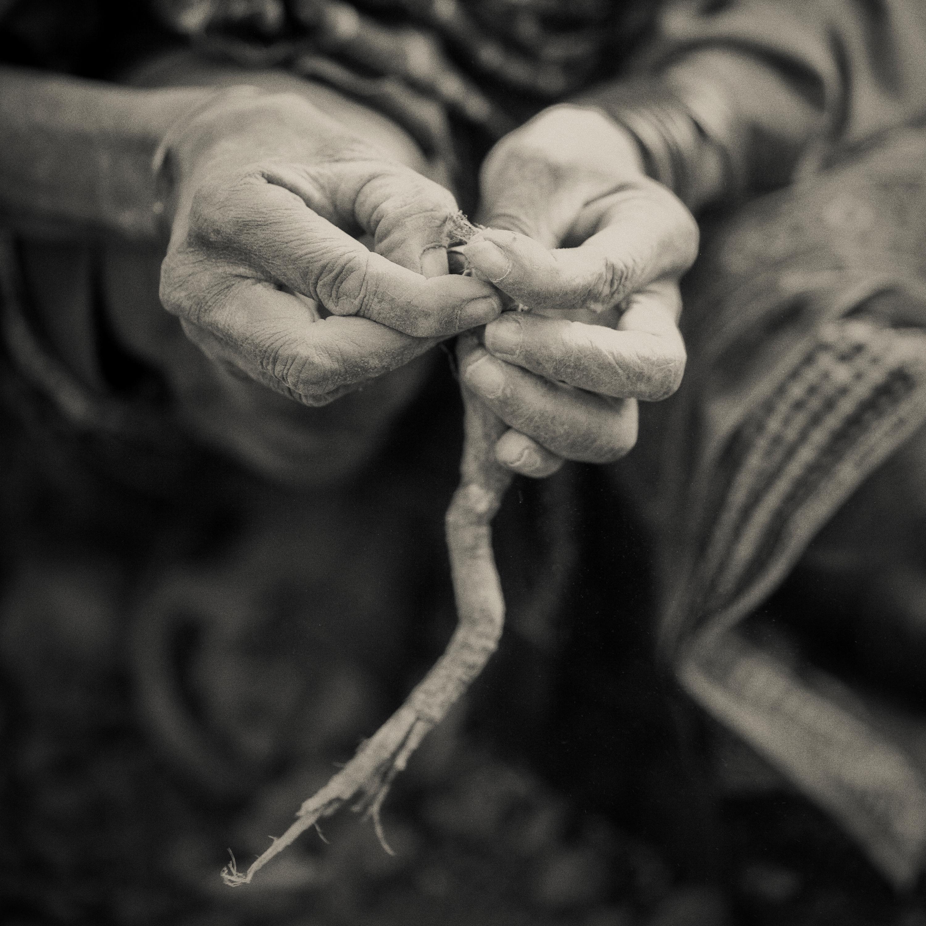 'GATHERING HANDS, ' Hadzabe Tribe, Tanzania, Black and White Photo, Nicol Ragland 1