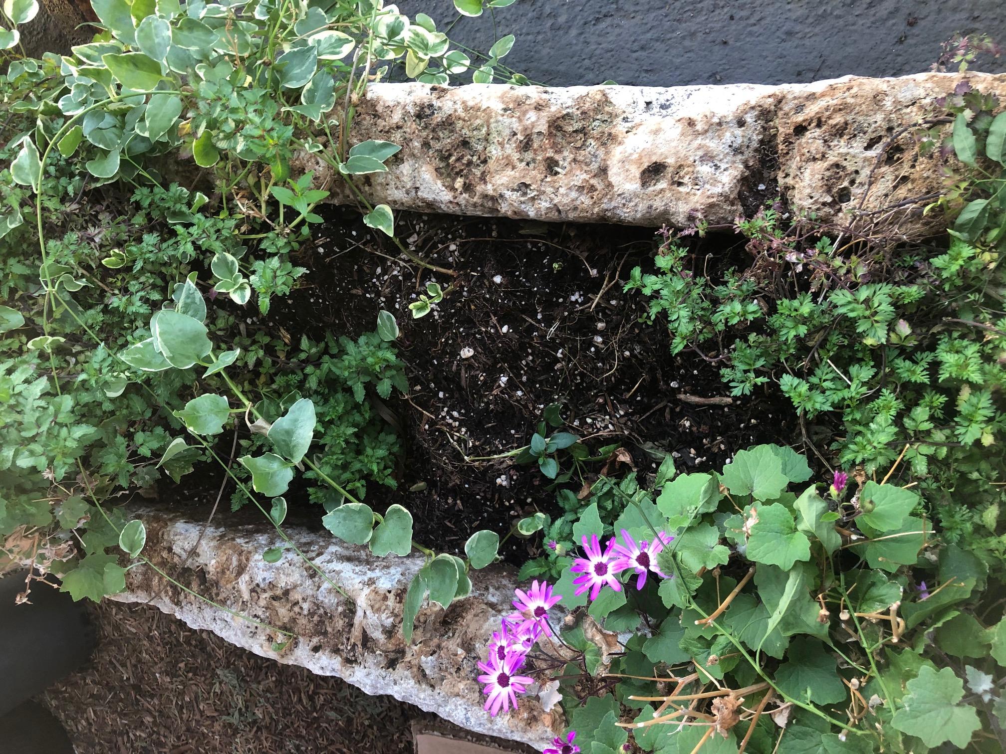 Antique French Limestone Trough 1