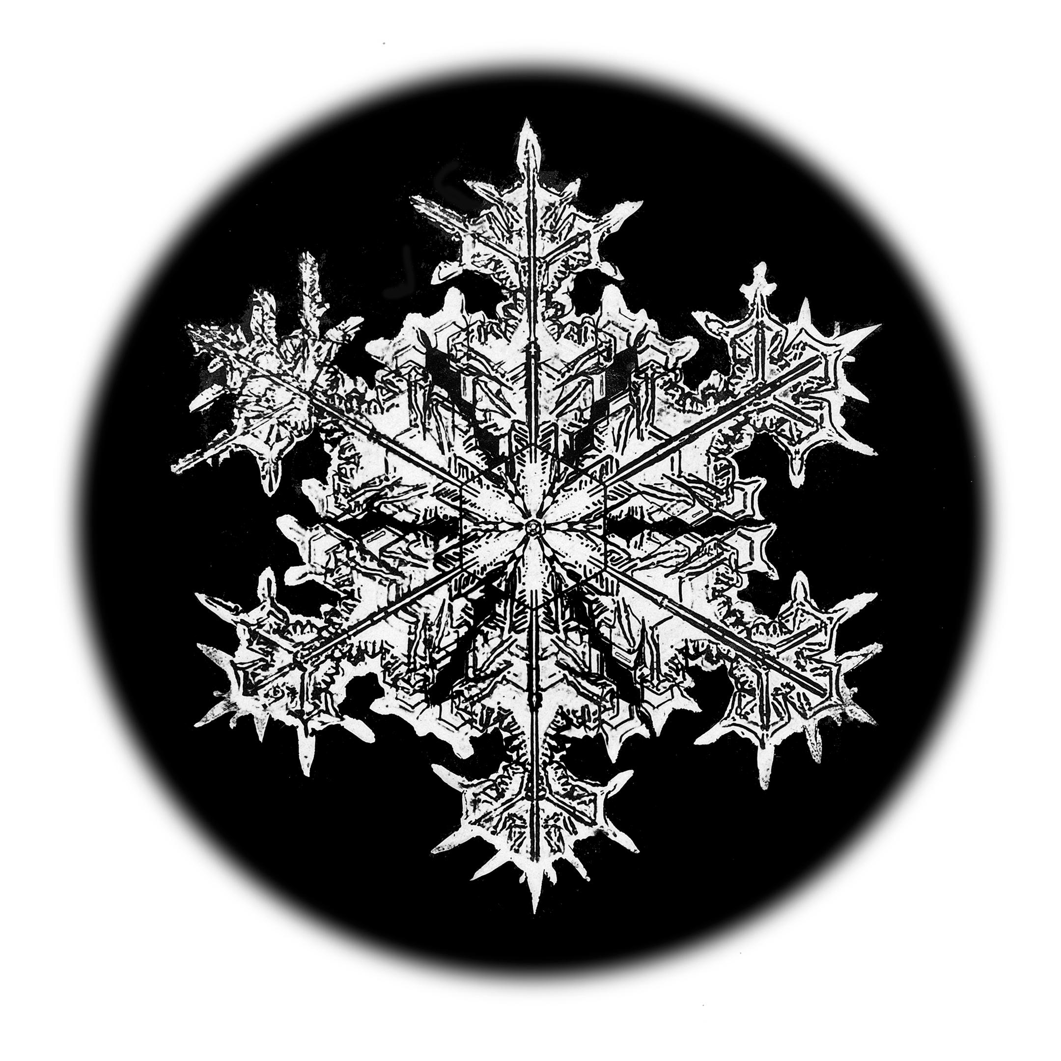 Wilson Bentley Black and White Photograph - Snowflake Microscopy 1