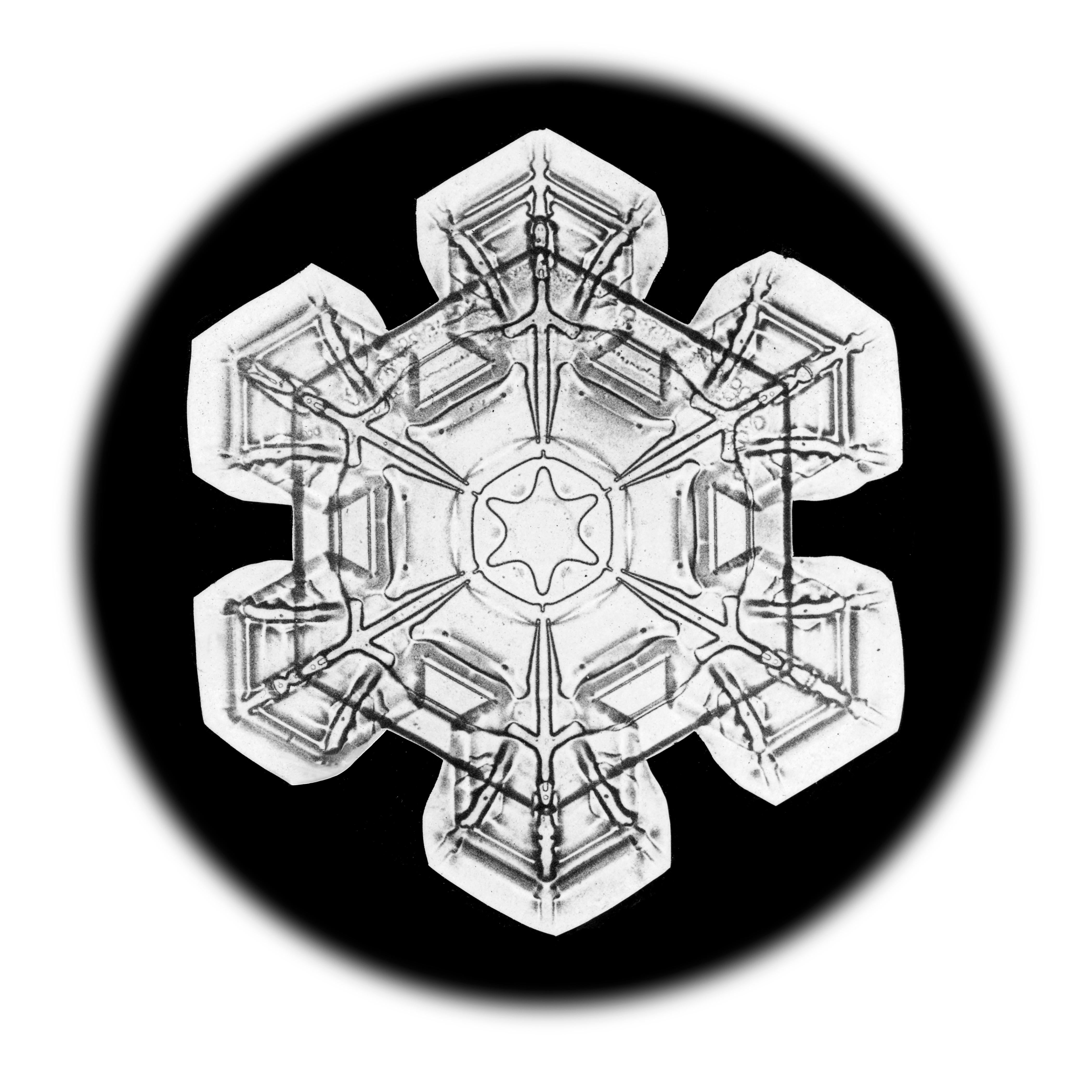 Wilson Bentley Landscape Print - Snowflake Microscopy 2