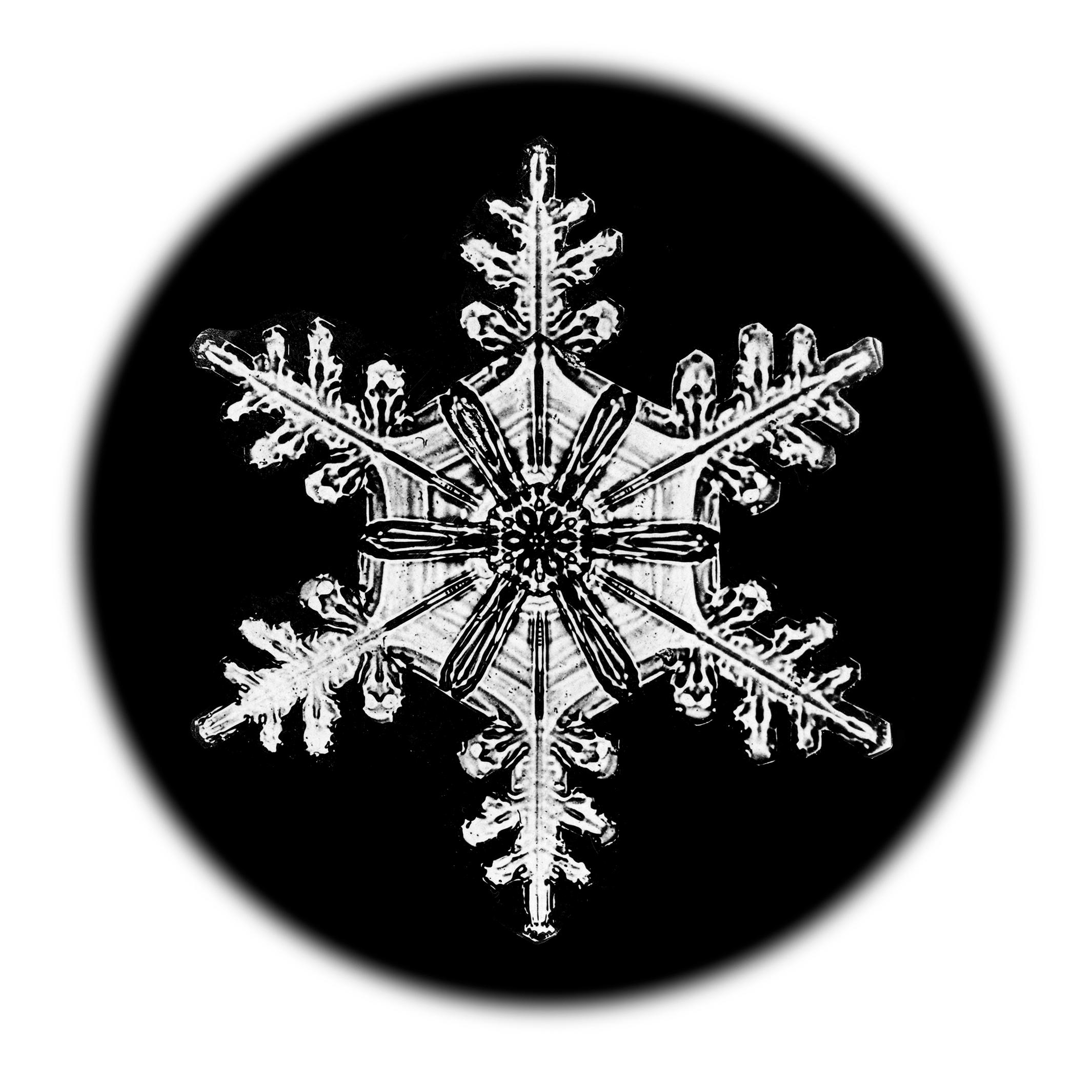Wilson Bentley Landscape Print - Snowflake Microscopy 3