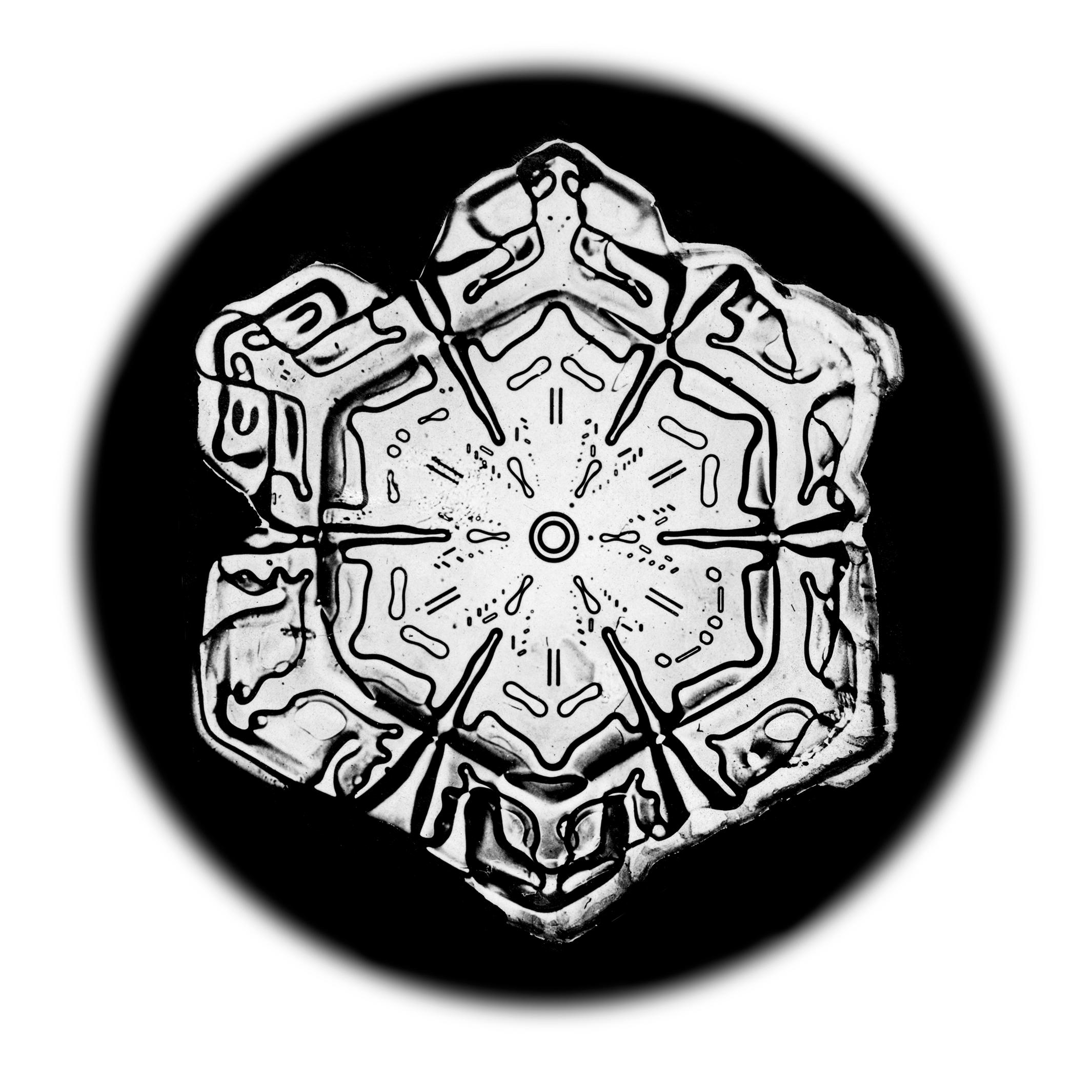 Wilson Bentley Landscape Print - Snowflake Microscopy 6