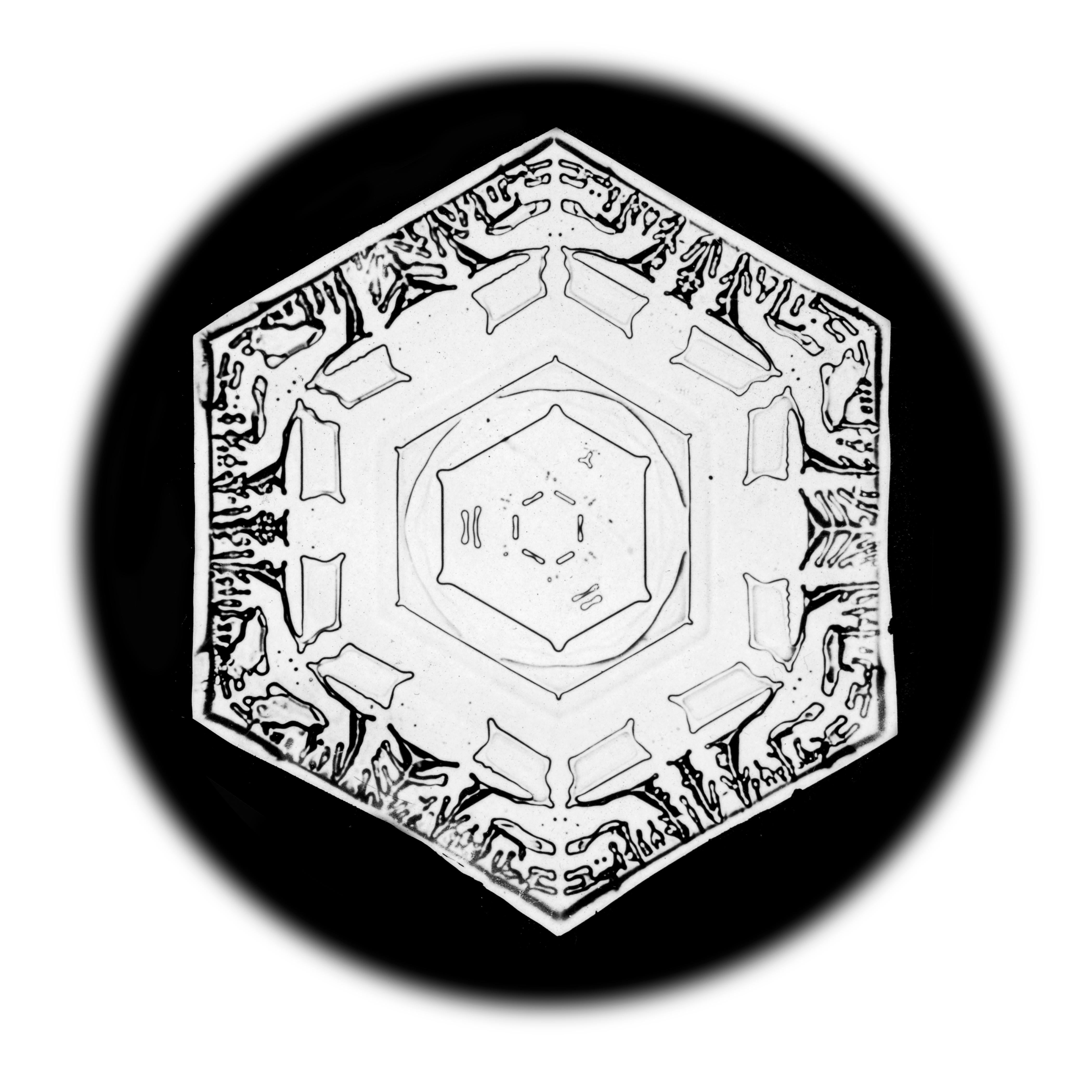 Wilson Bentley Black and White Photograph - Snowflake Microscopy 7