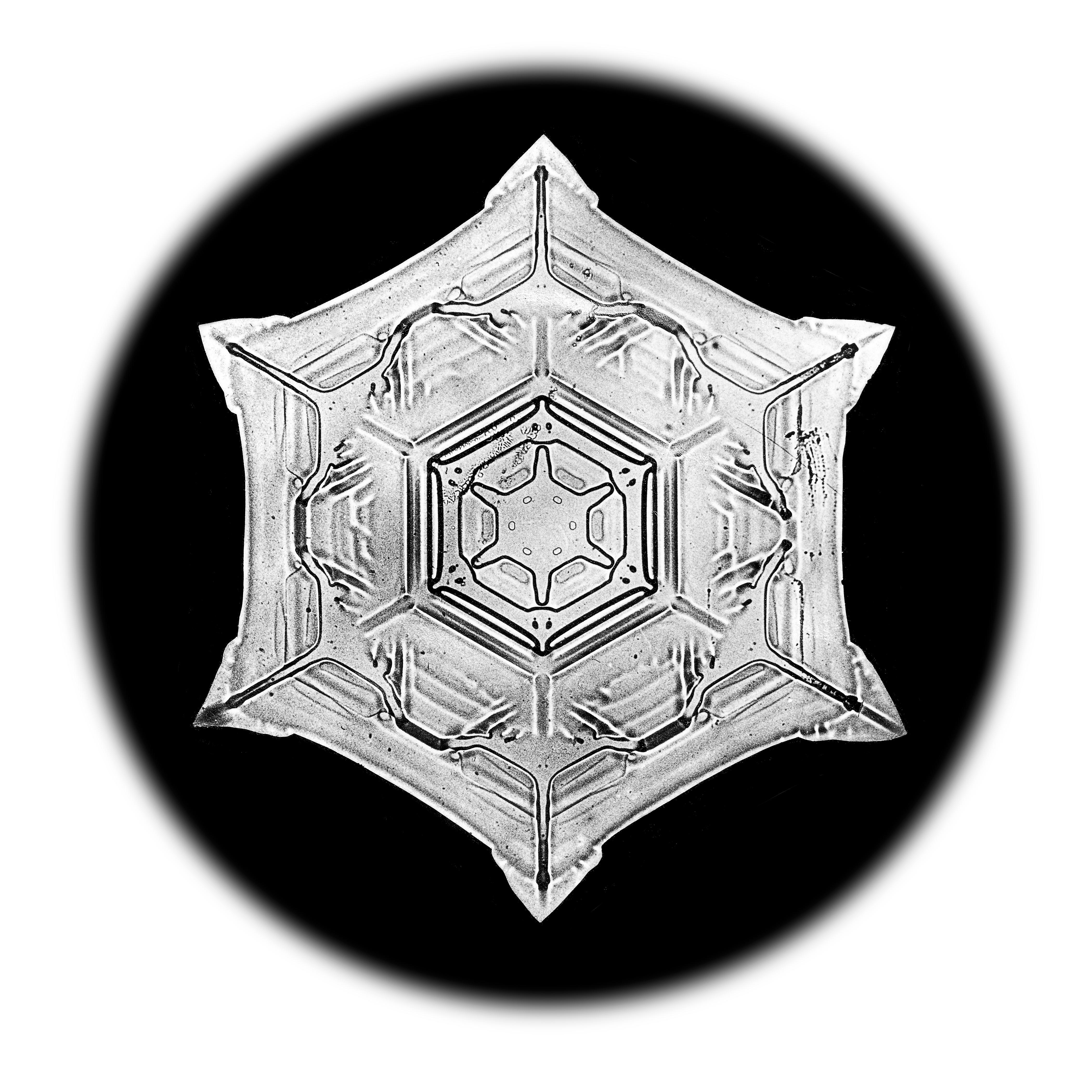 Wilson Bentley Black and White Photograph - Snowflake Microscopy 8