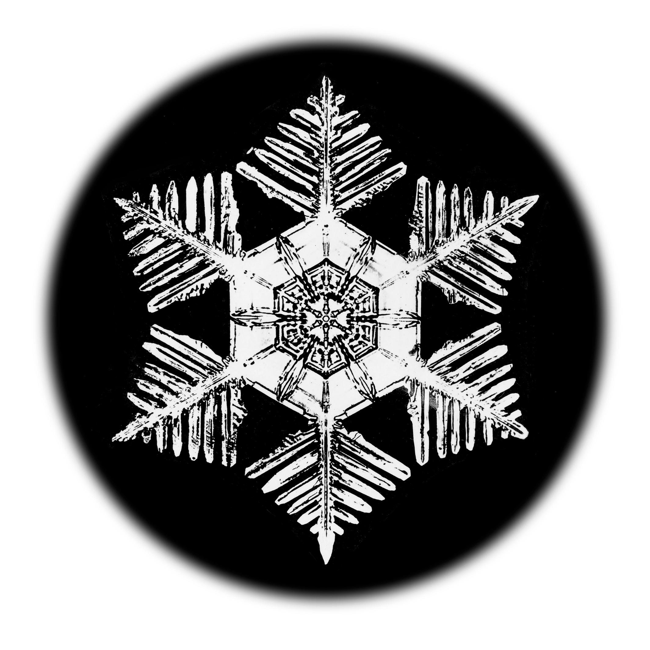 Wilson Bentley Landscape Print - Snowflake Microscopy 9