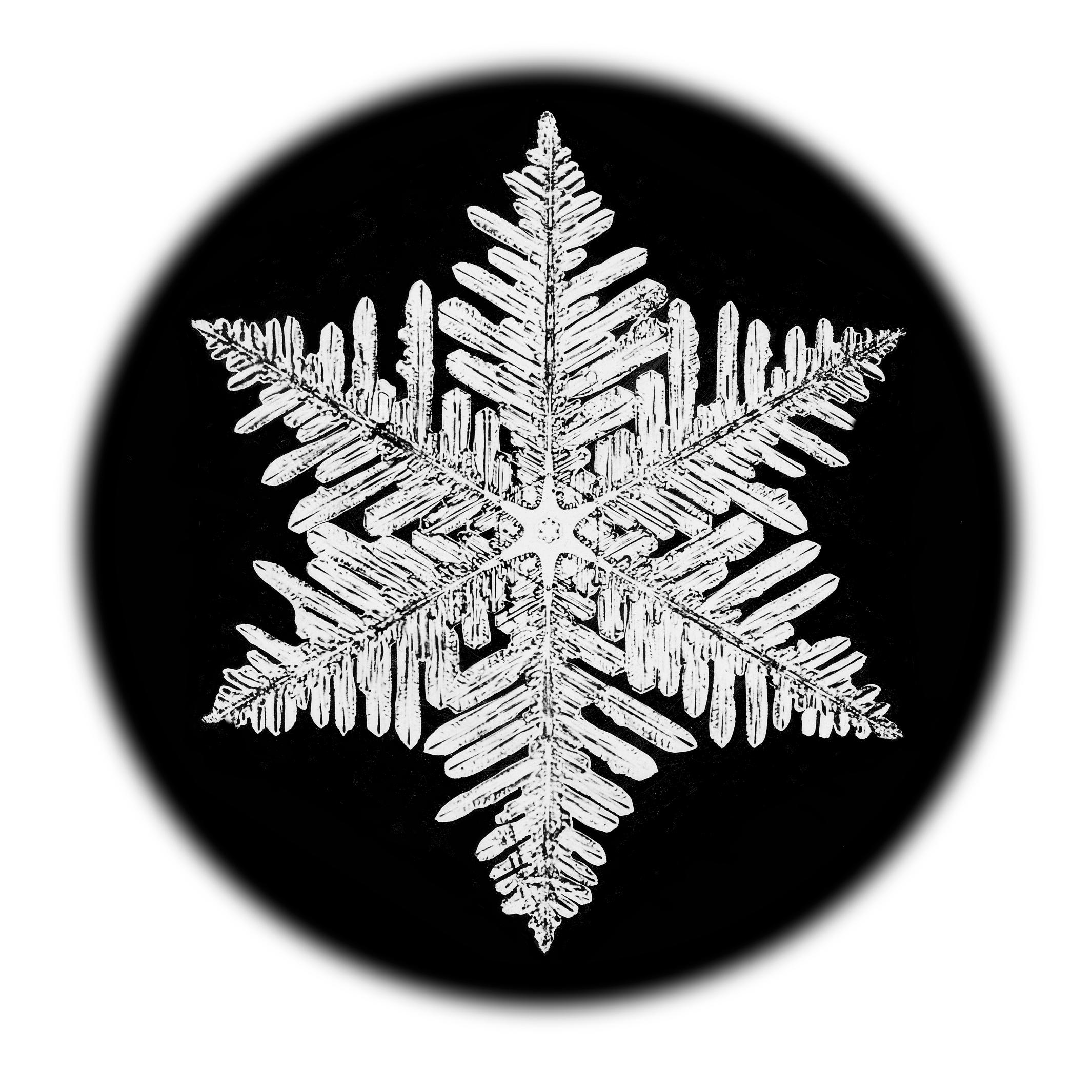 Wilson Bentley Black and White Photograph - Snowflake Microscopy 10