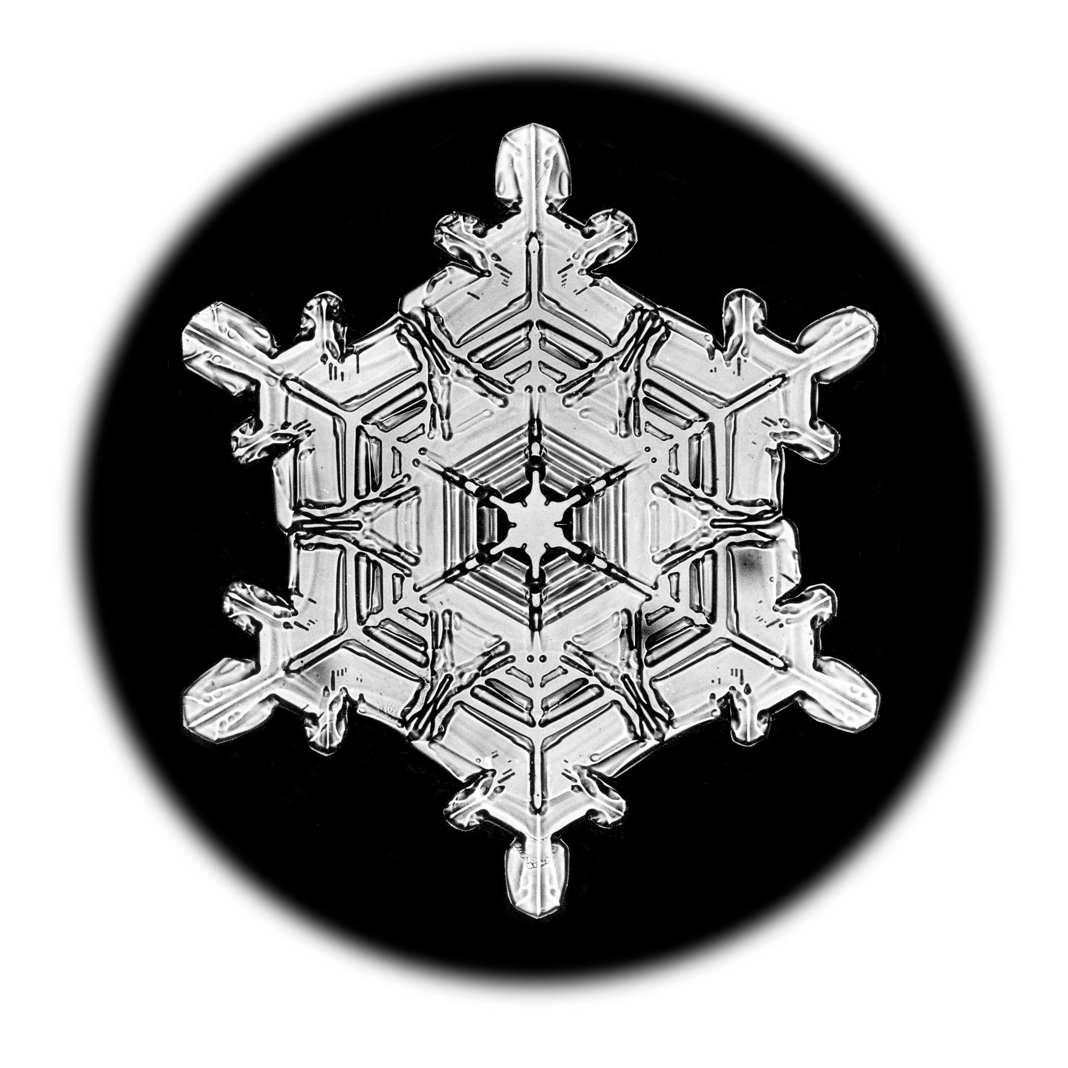 Wilson Bentley Landscape Print - Snowflake Microscopy 13