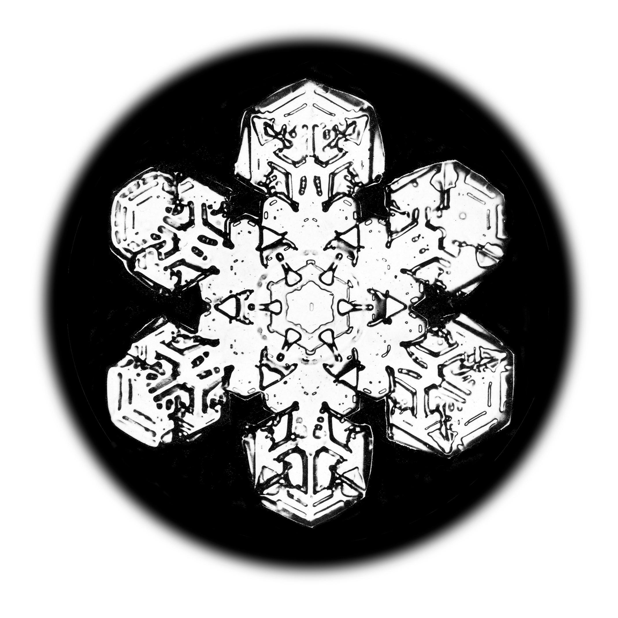 Wilson Bentley Landscape Print - Snowflake Microscopy 14