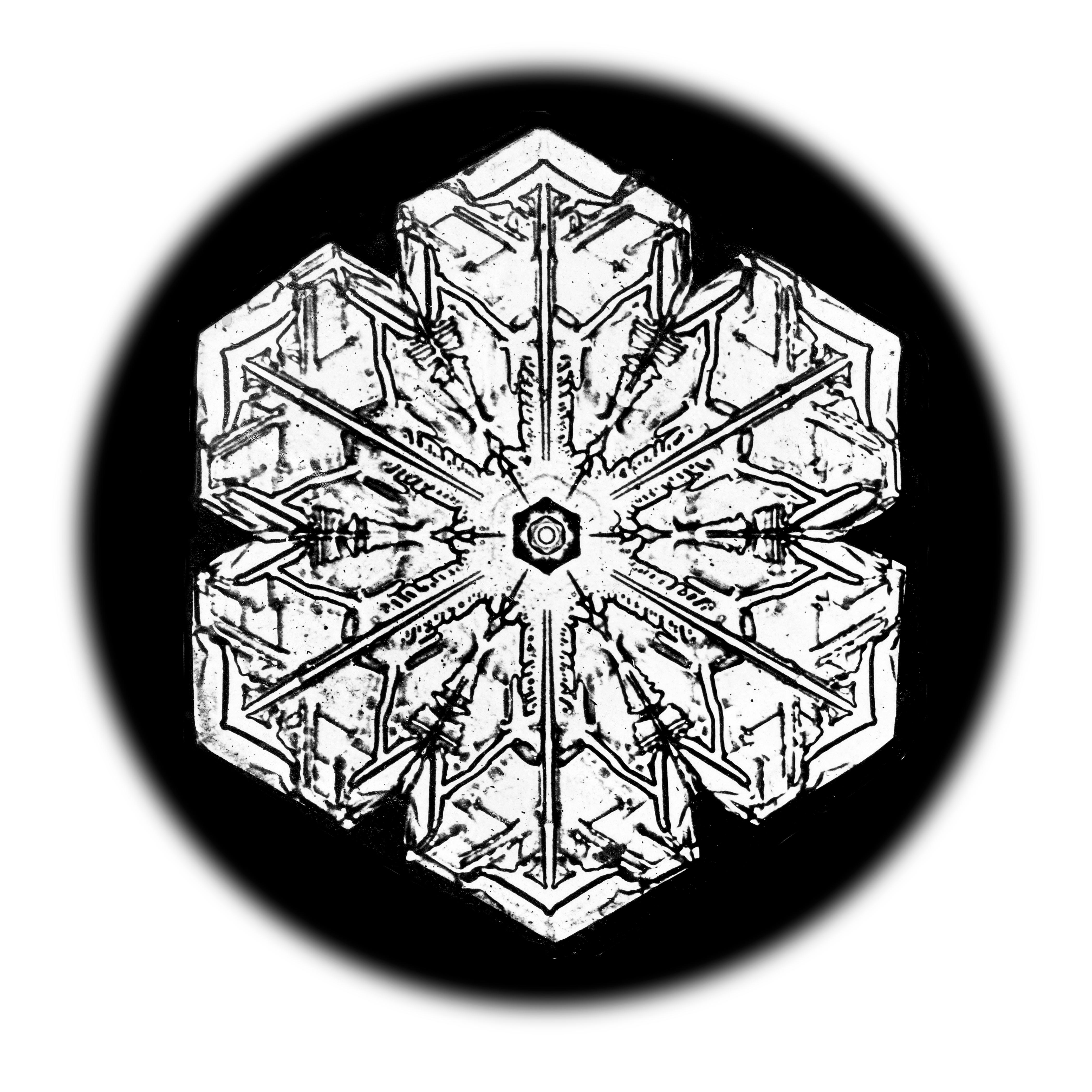 Wilson Bentley Landscape Print - Snowflake Microscopy 15