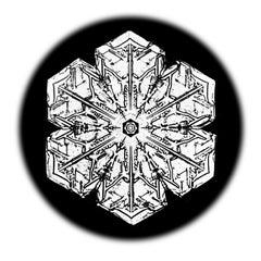 Snowflake Microscopy 15