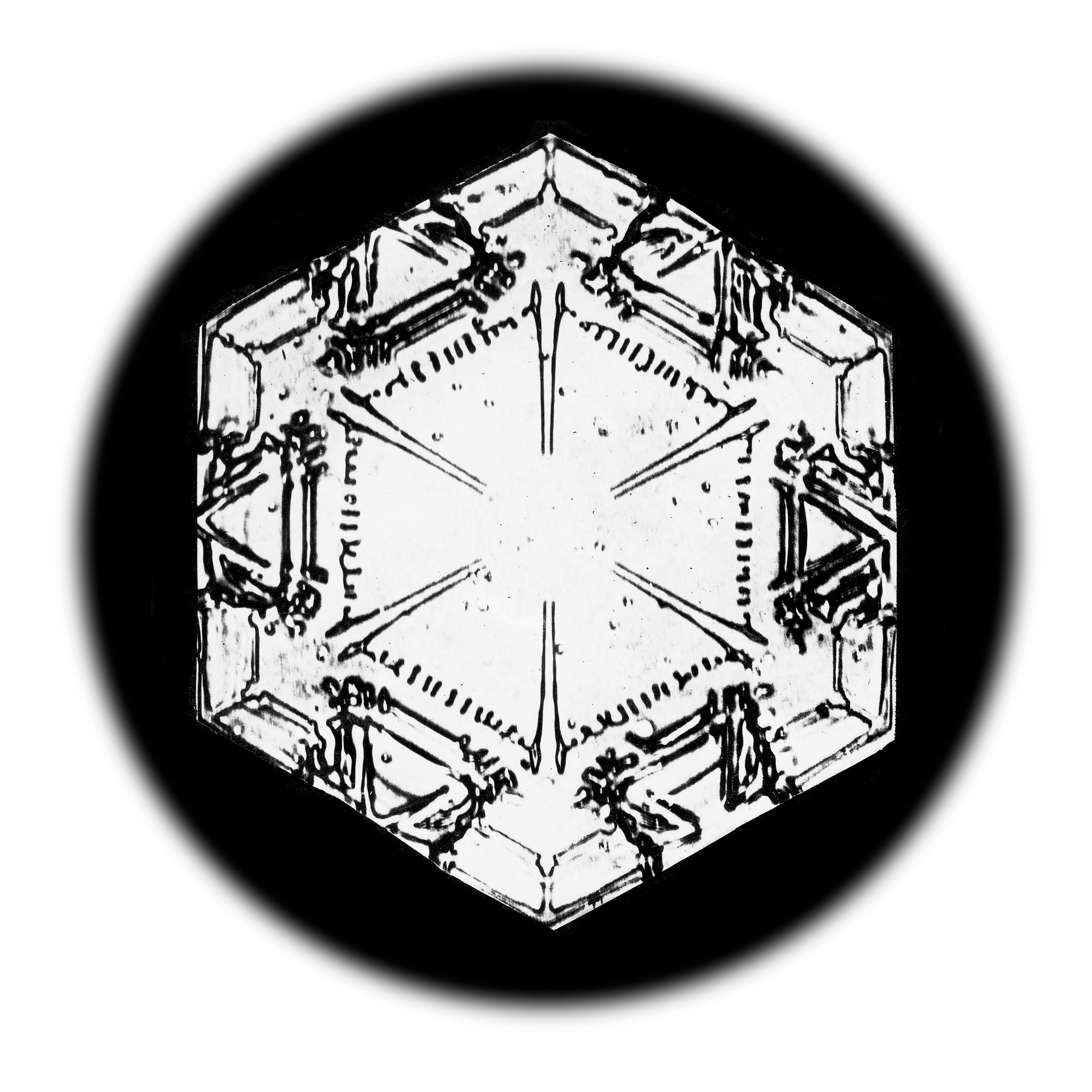 Wilson Bentley Landscape Print - Snowflake Microscopy 17