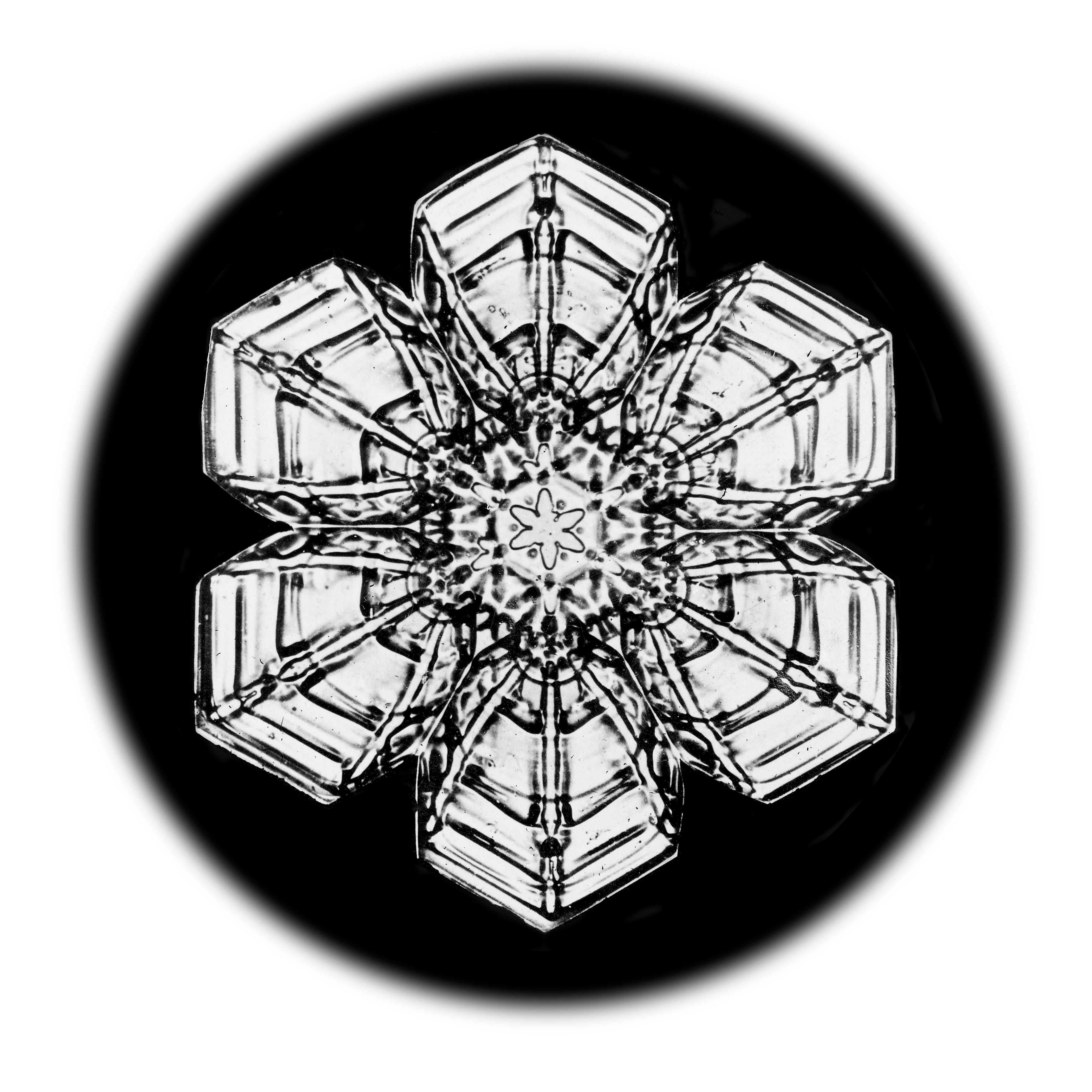 Wilson Bentley Black and White Photograph - Snowflake Microscopy 18