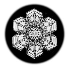 Snowflake Microscopy 18