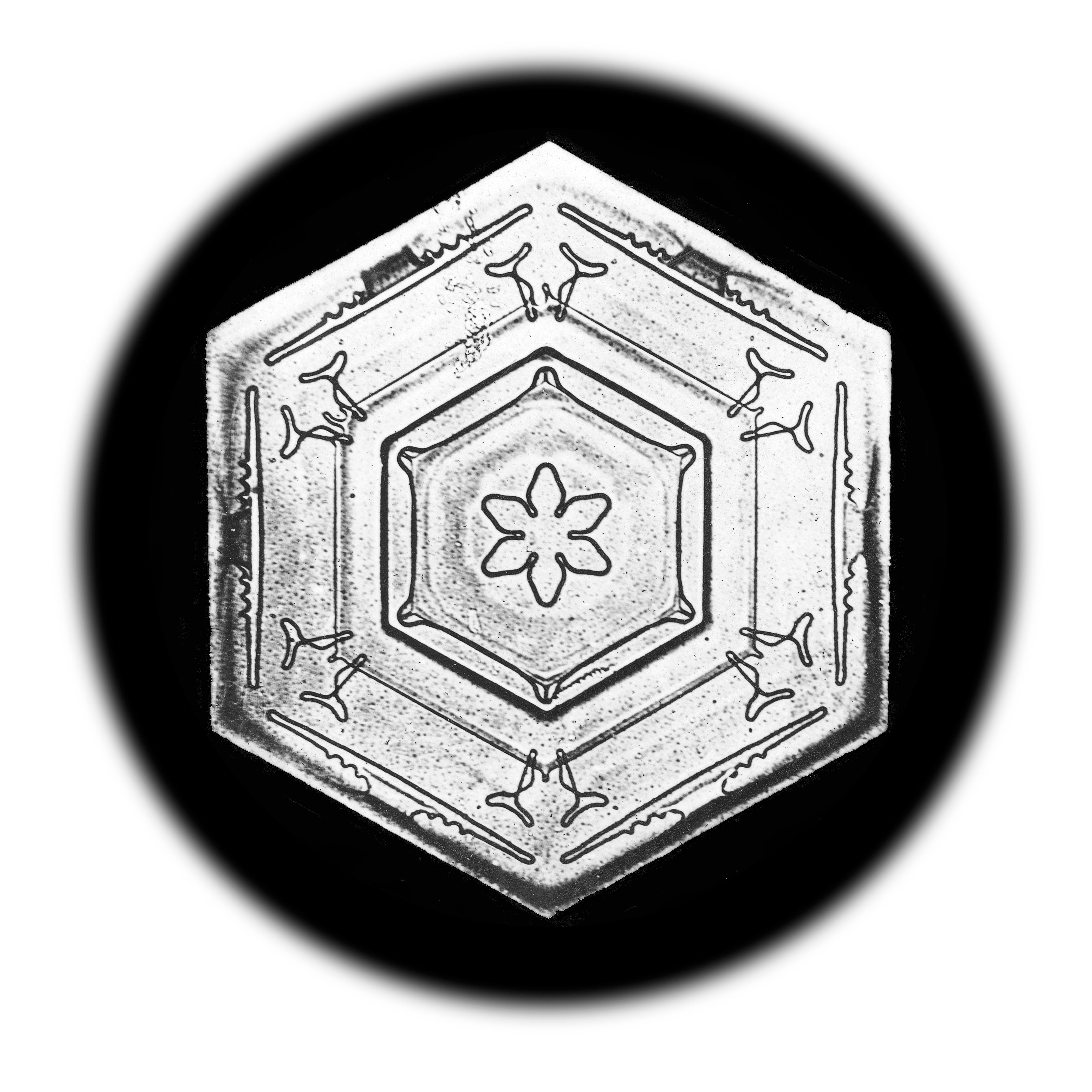 Wilson Bentley Landscape Print - Snowflake Microscopy 20