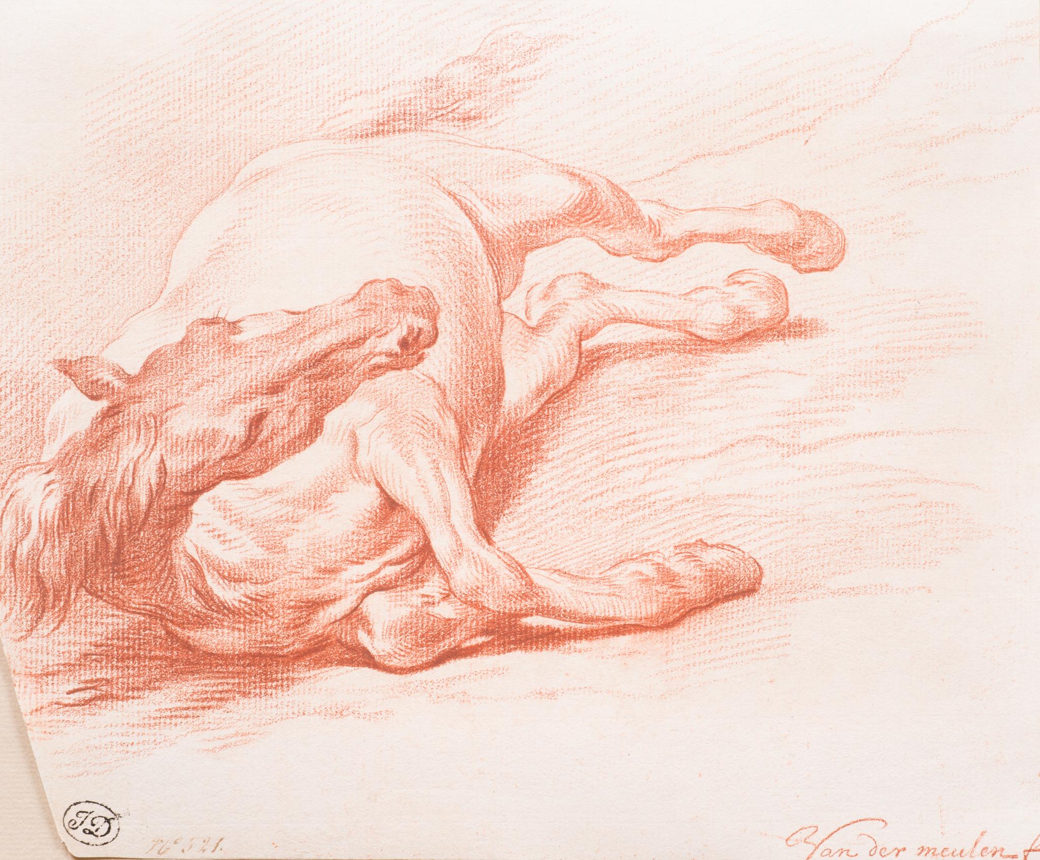 Study of a horse lying on its right side seen from the front