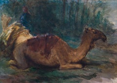 Dromedar a riposo, 1861