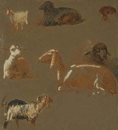 Pintar dibujos de animales y acuarelas