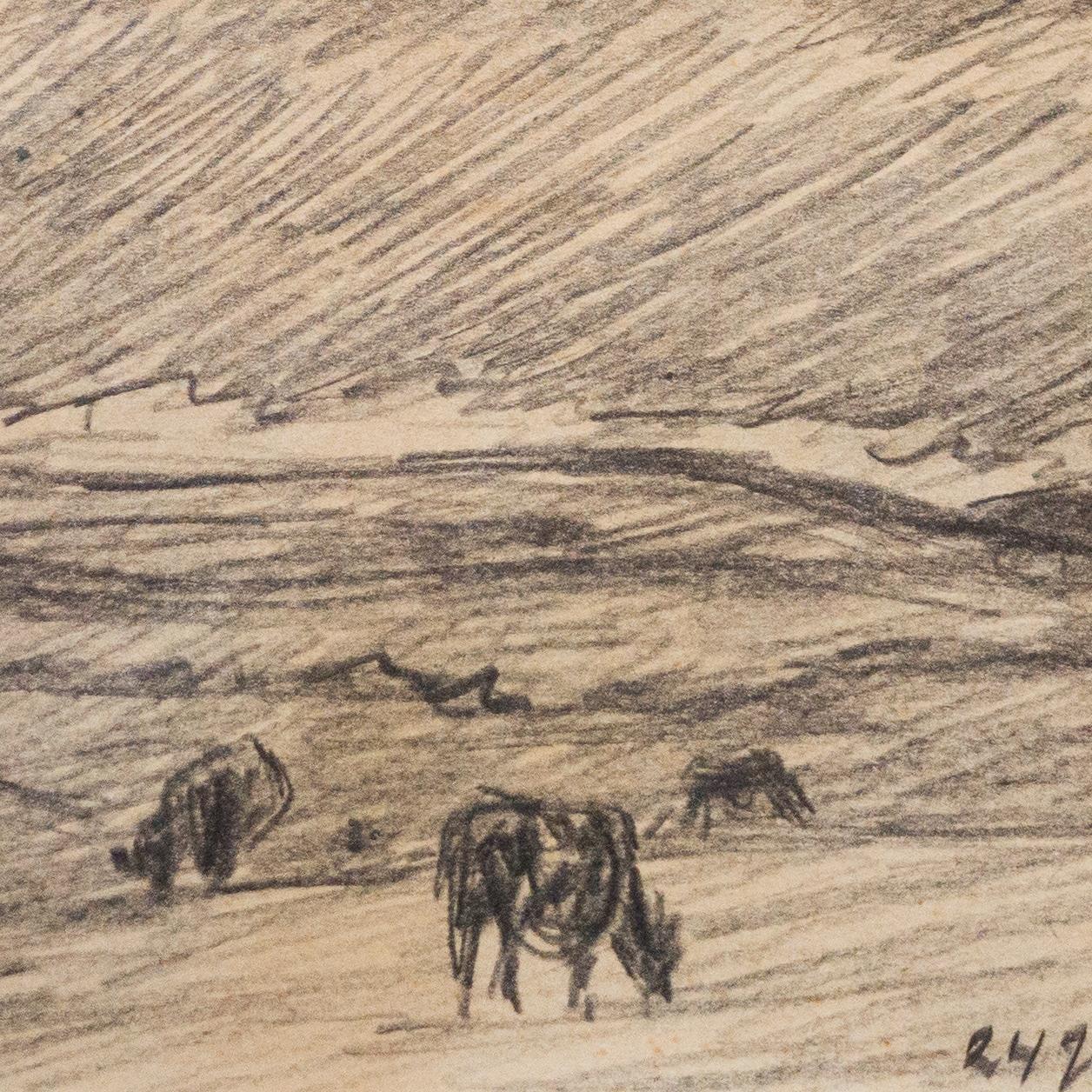 Les vaches brouillent dans une prairie, crayon, 1907 en vente 1